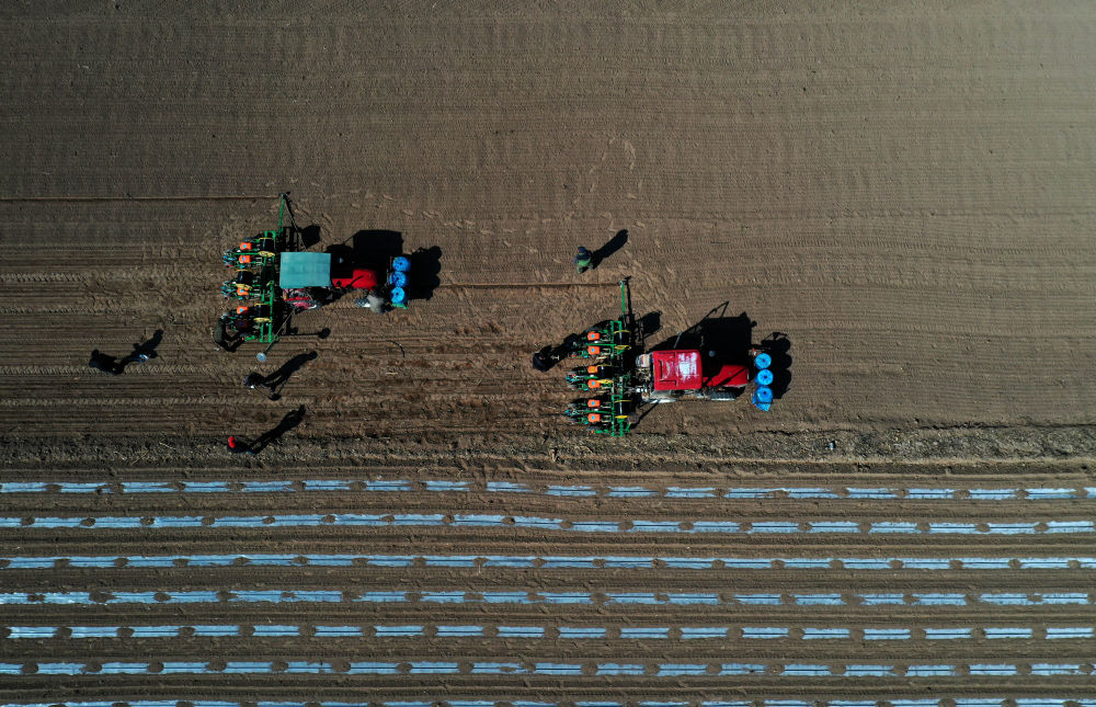Spring ploughing in 2020